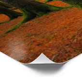 Herbstlandschaft im Wald Poster (Ecke)