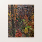 Herbstlandschaft in Arkansas Jigsaw Puzzel Puzzle (Vertikal)