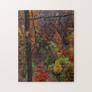 Herbstlandschaft in Arkansas Jigsaw Puzzel Puzzle