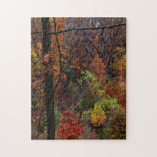 Herbstlandschaft in Arkansas Jigsaw Puzzel Puzzle (Vertikal)
