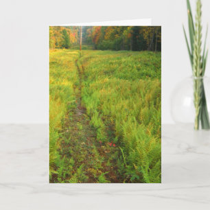 Herbstlandschaft Karte