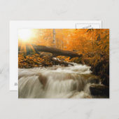Herbstlandschaft mit Bäumen, Fluss und Sonne Postkarte (Vorne/Hinten)