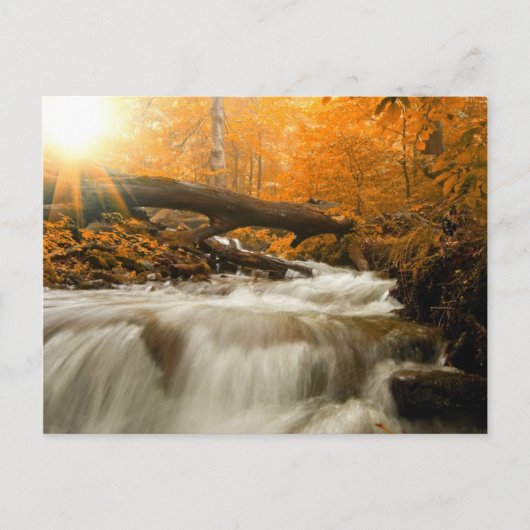 Herbstlandschaft mit Bäumen, Fluss und Sonne Postkarte (Vorderseite)
