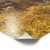 Herbstlandschaft mit See, Vermont, USA 2 Fotodruck (Ecke)