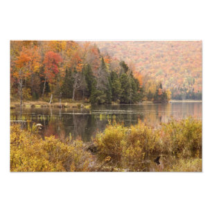 Herbstlandschaft mit See, Vermont, USA 3 Fotodruck