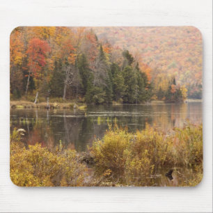Herbstlandschaft mit See, Vermont, USA 3 Mousepad