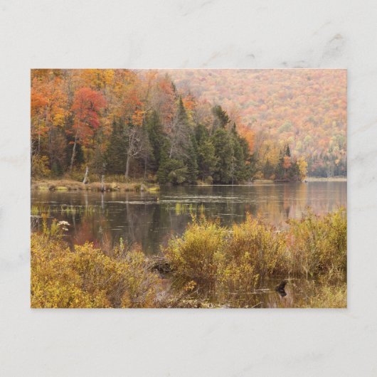 Herbstlandschaft mit See, Vermont, USA 3 Postkarte (Vorderseite)
