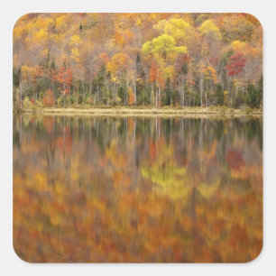 Herbstlandschaft mit See, Vermont, USA Quadratischer Aufkleber