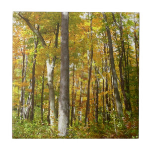 Herbstlandschaft mit Wald aus gelben Blättern Fliese