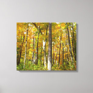 Herbstlandschaft mit Wald aus gelben Blättern Leinwanddruck