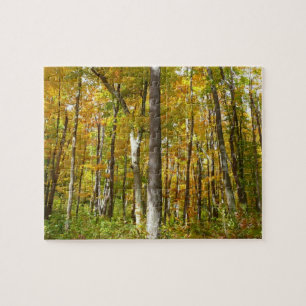 Herbstlandschaft mit Wald aus gelben Blättern Puzzle