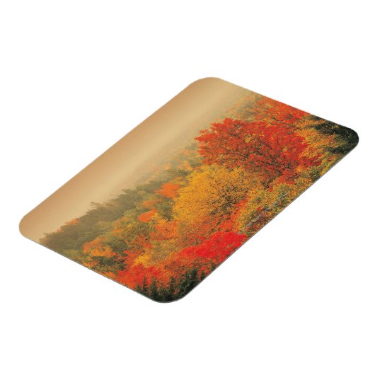 Herbstlandschaft, New Hampshire, USA Magnet (Linke Seite)