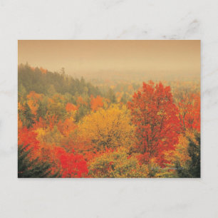 Herbstlandschaft, New Hampshire, USA Postkarte