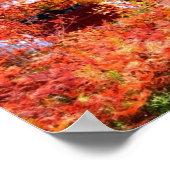 Herbstlandschaft Poster (Ecke)