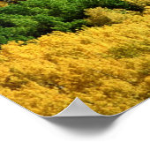 Herbstlandschaft Poster (Ecke)