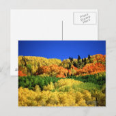 Herbstlandschaft Postkarte (Vorne/Hinten)