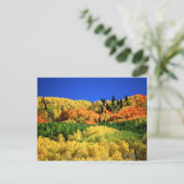 Herbstlandschaft Postkarte (Stehend Vorderseite)