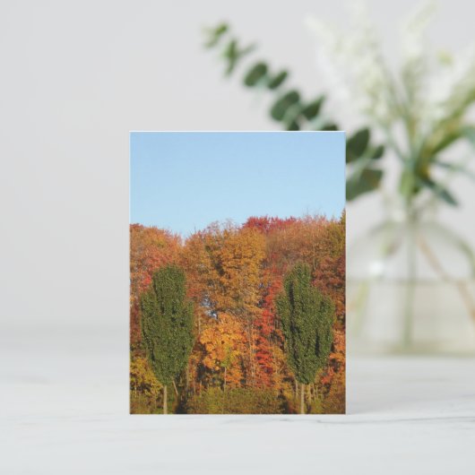 Herbstlandschaft Postkarte (Stehend Vorderseite)