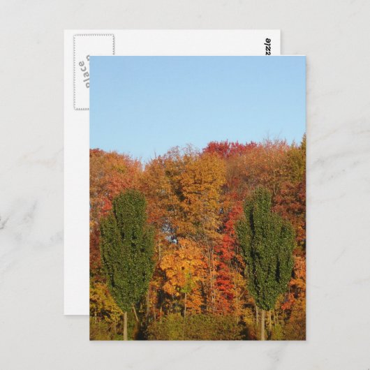 Herbstlandschaft Postkarte (Vorne/Hinten)