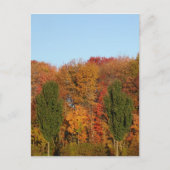 Herbstlandschaft Postkarte (Vorderseite)