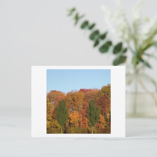 Herbstlandschaft Postkarte (Stehend Vorderseite)