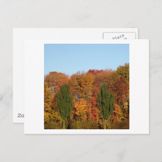Herbstlandschaft Postkarte (Vorne/Hinten)