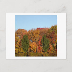 Herbstlandschaft Postkarte