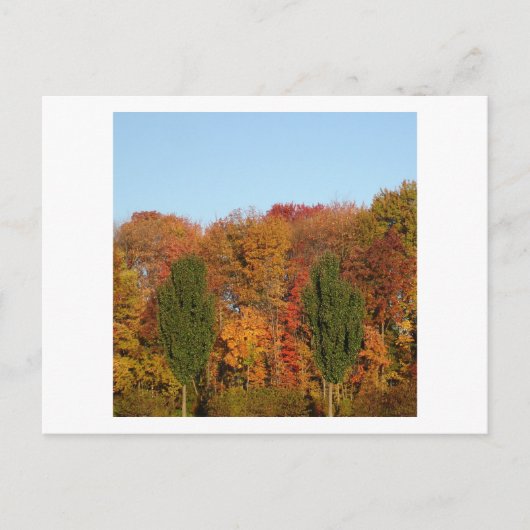 Herbstlandschaft Postkarte (Vorderseite)
