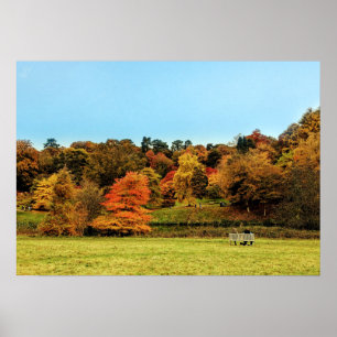Herbstlandschaft Rot und Orange Poster