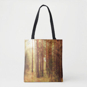 Herbstlandschaft, Sonnenstrahlen in den Vororten Tasche