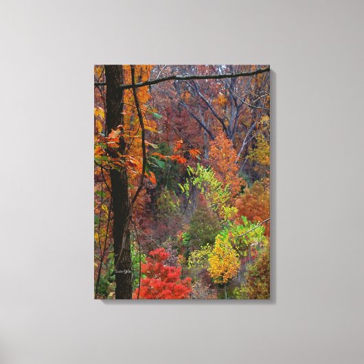 Herbstlandschaft ummantelt Canvas Leinwanddruck (Vorderseite)