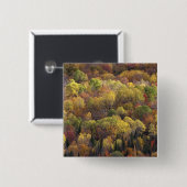 Herbstlandschaft, Vermont, USA 2 Button (Vorne & Hinten)