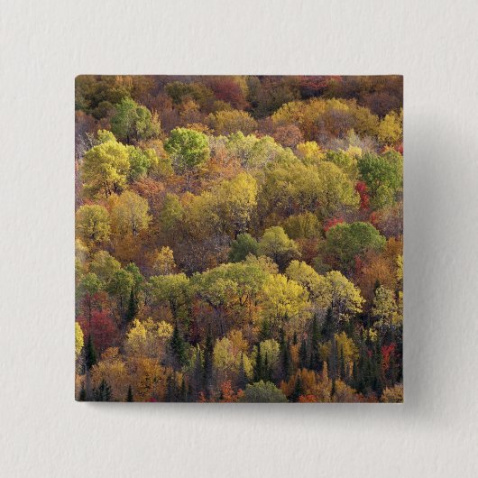 Herbstlandschaft, Vermont, USA 2 Button (Vorderseite)