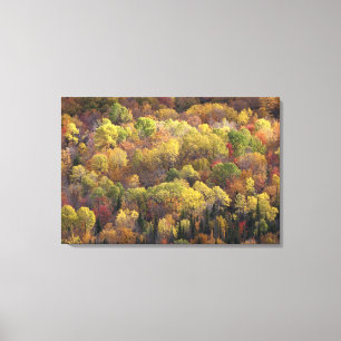Herbstlandschaft, Vermont, USA 2 Leinwanddruck