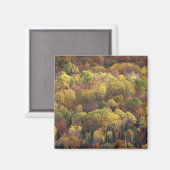 Herbstlandschaft, Vermont, USA 2 Magnet (Vorderseite/Rückseite)