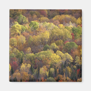 Herbstlandschaft, Vermont, USA 2 Magnet
