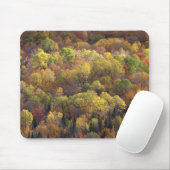 Herbstlandschaft, Vermont, USA 2 Mousepad (Mit Mouse)
