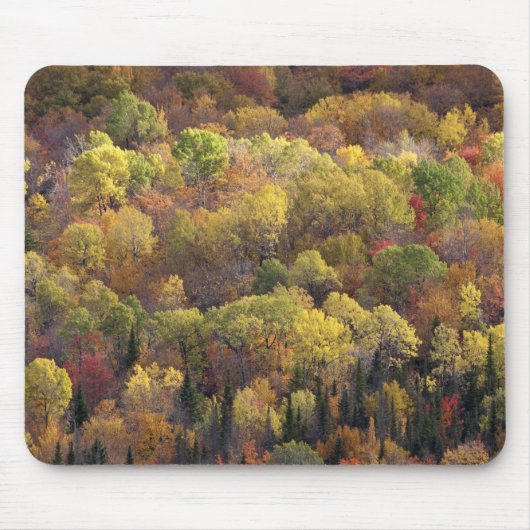 Herbstlandschaft, Vermont, USA 2 Mousepad (Vorne)