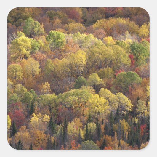 Herbstlandschaft, Vermont, USA 2 Quadratischer Aufkleber (Vorderseite)