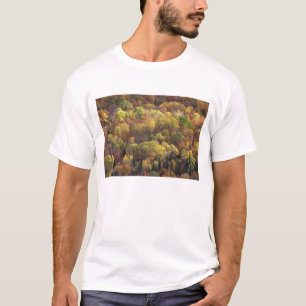 Herbstlandschaft, Vermont, USA 2 T-Shirt