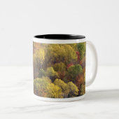 Herbstlandschaft, Vermont, USA 2 Zweifarbige Tasse (VorderseiteRechts)