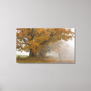 Herbstlandschaft, Vermont, USA 4 Leinwanddruck