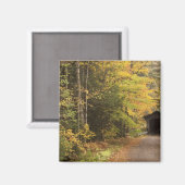 Herbstlandschaft, Vermont, USA 4 Magnet (Vorderseite/Rückseite)