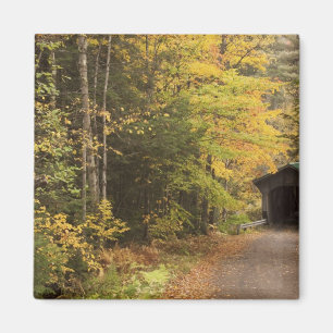 Herbstlandschaft, Vermont, USA 4 Magnet
