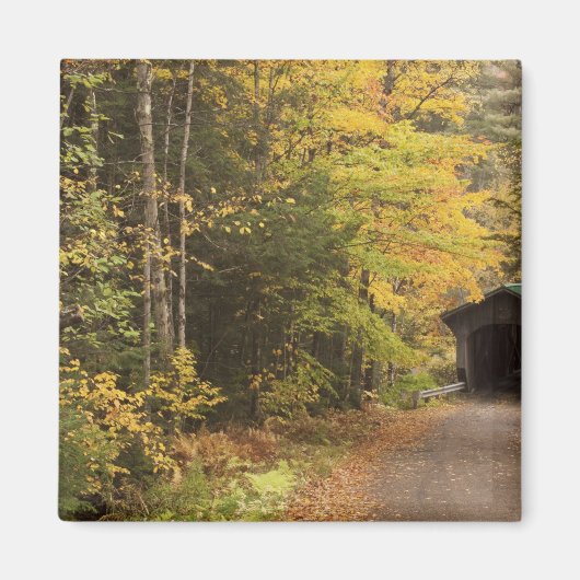 Herbstlandschaft, Vermont, USA 4 Magnet (Vorne)