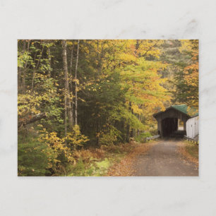 Herbstlandschaft, Vermont, USA 4 Postkarte