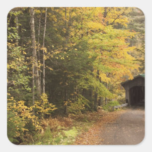 Herbstlandschaft, Vermont, USA 4 Quadratischer Aufkleber