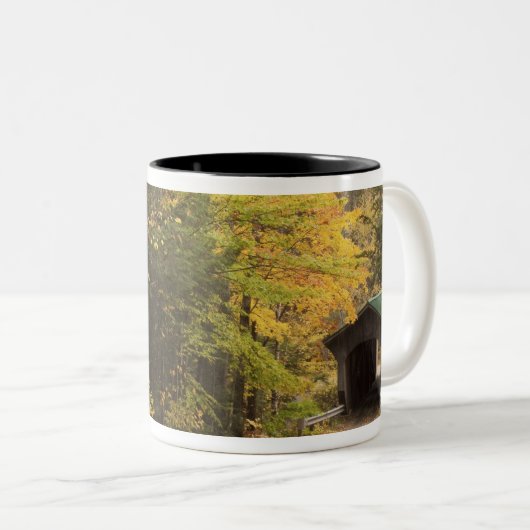 Herbstlandschaft, Vermont, USA 4 Zweifarbige Tasse (VorderseiteRechts)