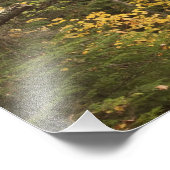 Herbstlandschaft, Vermont, USA Fotodruck (Ecke)