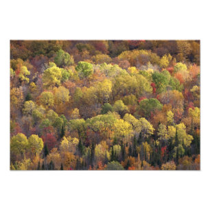 Herbstlandschaft, Vermont, USA Fotodruck